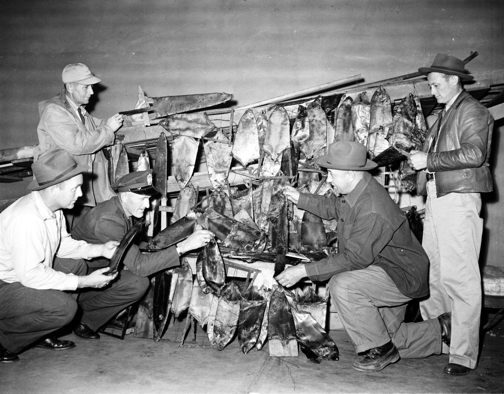 Man caught with furs out of season